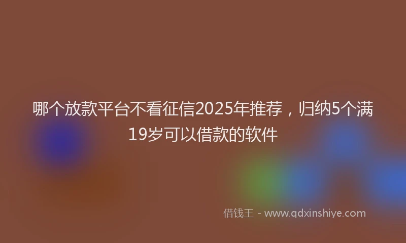 哪个放款平台不看征信2025年推荐，归纳5个满19岁可以借款的软件