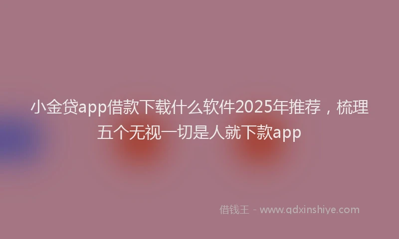 小金贷app借款下载什么软件2025年推荐，梳理五个无视一切是人就下款app