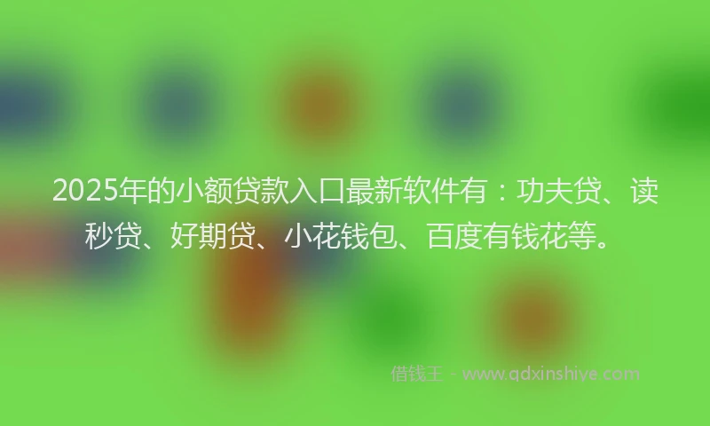 2025年的小额贷款入口最新软件有：功夫贷、读秒贷、好期贷、小花钱包、百度有钱花等。