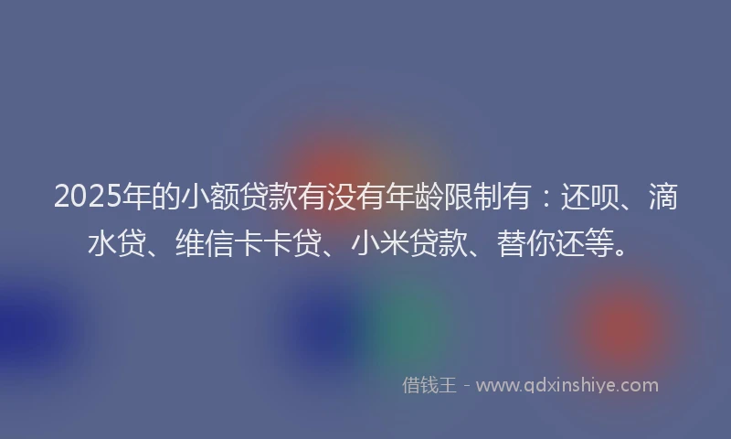2025年的小额贷款有没有年龄限制有：还呗、滴水贷、维信卡卡贷、小米贷款、替你还等。