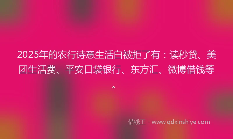 2025年的农行诗意生活白被拒了有：读秒贷、美团生活费、平安口袋银行、东方汇、微博借钱等。