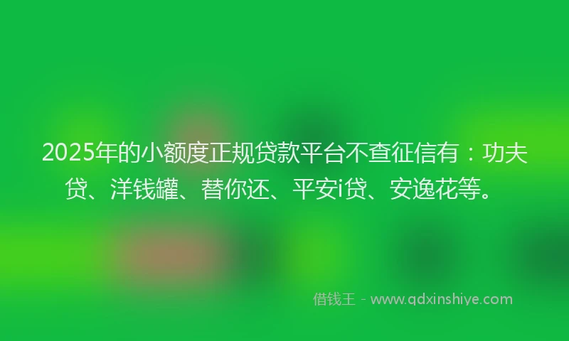 2025年的小额度正规贷款平台不查征信有：功夫贷、洋钱罐、替你还、平安i贷、安逸花等。