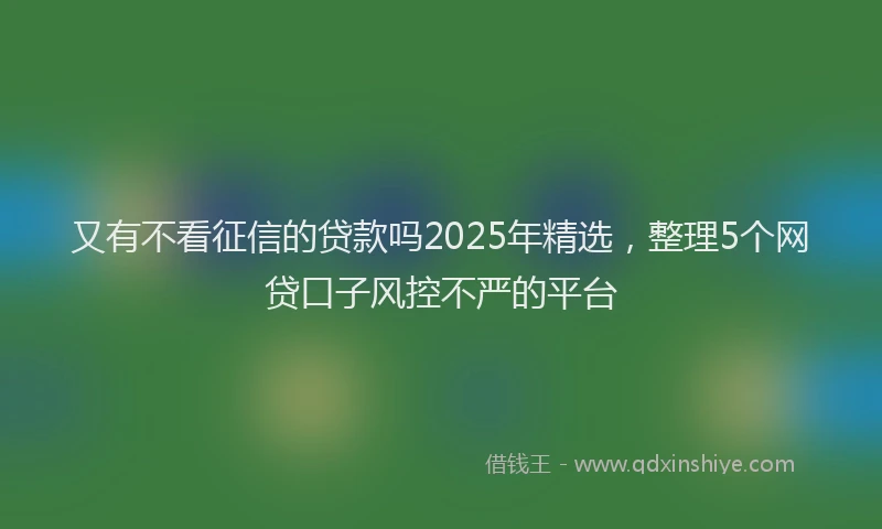 又有不看征信的贷款吗2025年精选，整理5个网贷口子风控不严的平台