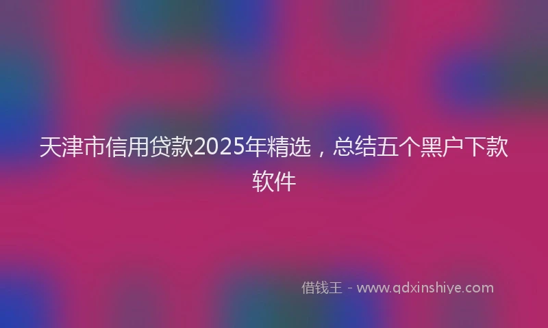 天津市信用贷款2025年精选，总结五个黑户下款软件