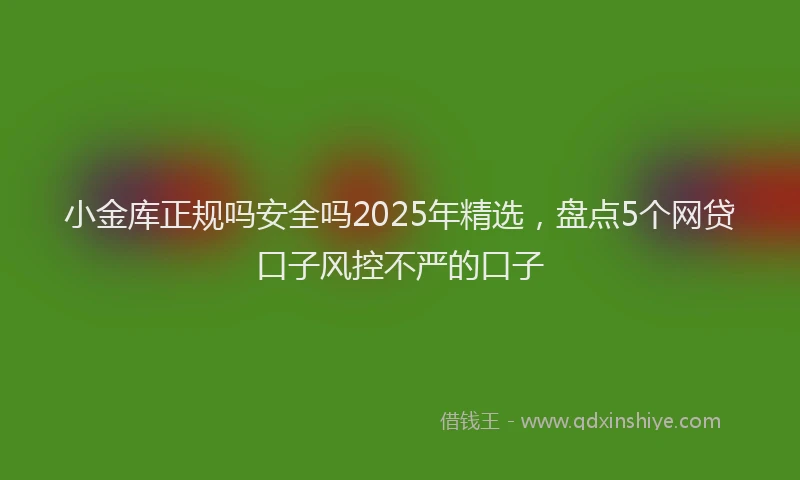小金库正规吗安全吗2025年精选，盘点5个网贷口子风控不严的口子