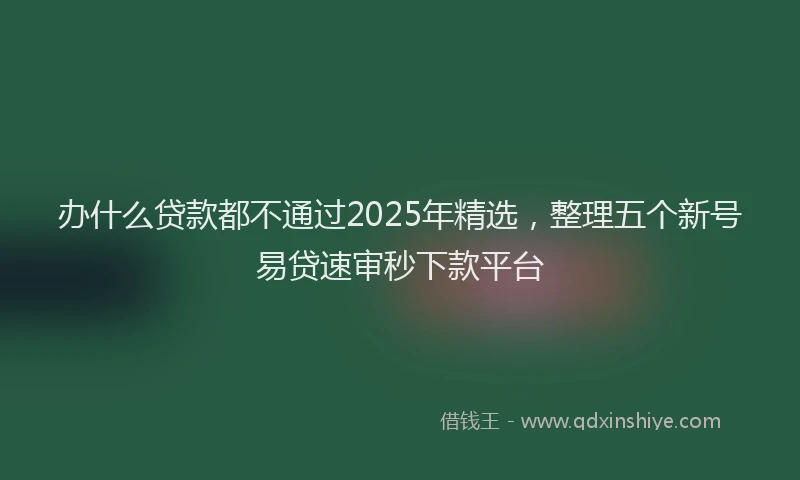 办什么贷款都不通过2025年精选，整理五个新号易贷速审秒下款平台