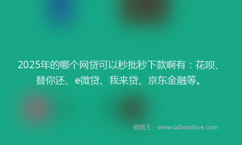 2025年的哪个网贷可以秒批秒下款啊有：花呗、替你还、e微贷、我来贷、京东金融等。