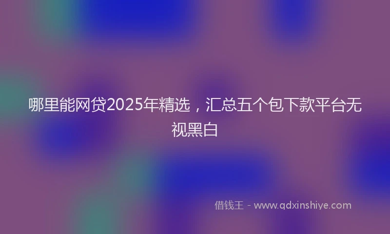 哪里能网贷2025年精选，汇总五个包下款平台无视黑白