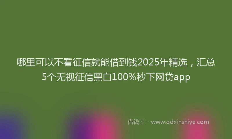 哪里可以不看征信就能借到钱2025年精选，汇总5个无视征信黑白100%秒下网贷app