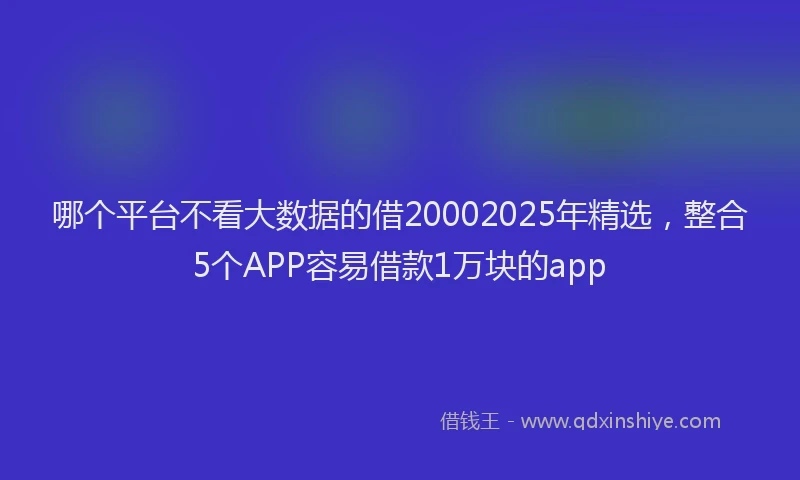 哪个平台不看大数据的借20002025年精选，整合5个APP容易借款1万块的app