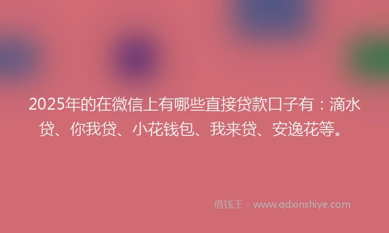 2025年的在微信上有哪些直接贷款口子有：滴水贷、你我贷、小花钱包、我来贷、安逸花等。