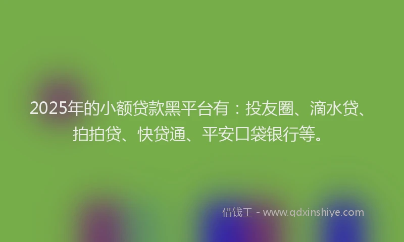 2025年的小额贷款黑平台有：投友圈、滴水贷、拍拍贷、快贷通、平安口袋银行等。