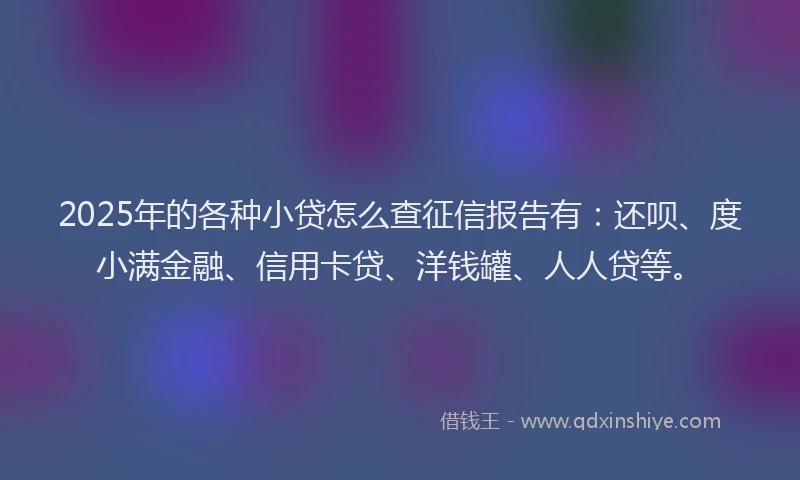 2025年的各种小贷怎么查征信报告有：还呗、度小满金融、信用卡贷、洋钱罐、人人贷等。