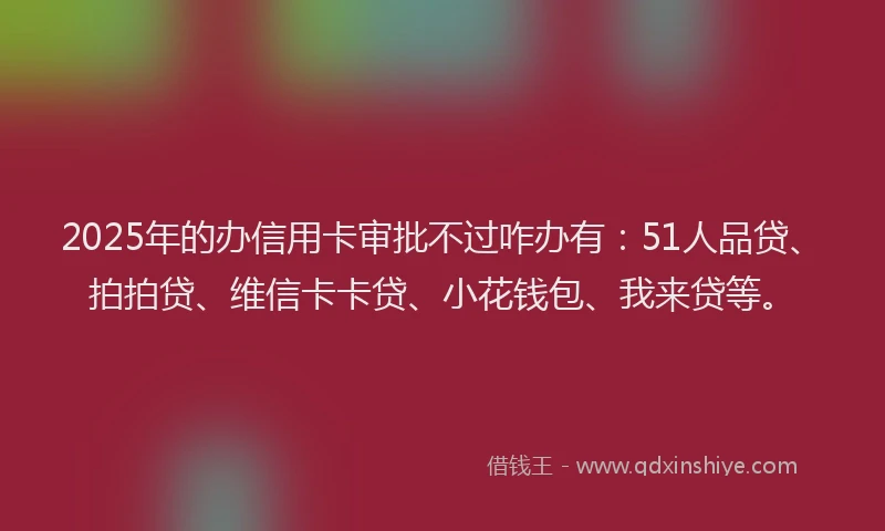 2025年的办信用卡审批不过咋办有：51人品贷、拍拍贷、维信卡卡贷、小花钱包、我来贷等。