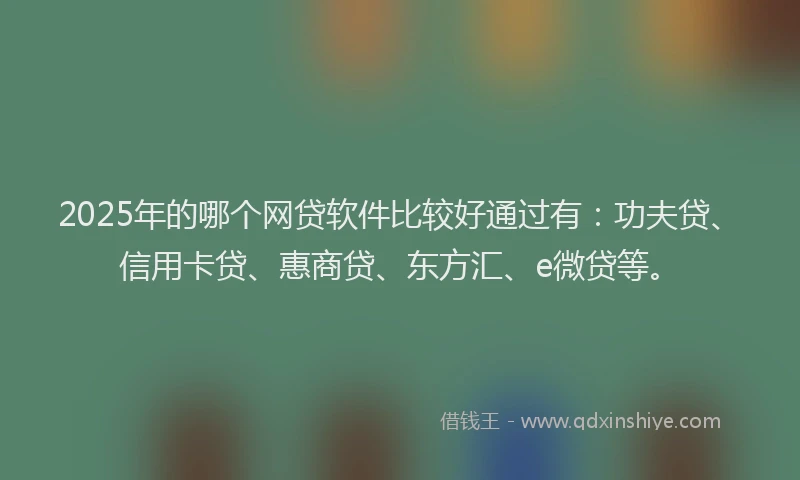 2025年的哪个网贷软件比较好通过有：功夫贷、信用卡贷、惠商贷、东方汇、e微贷等。