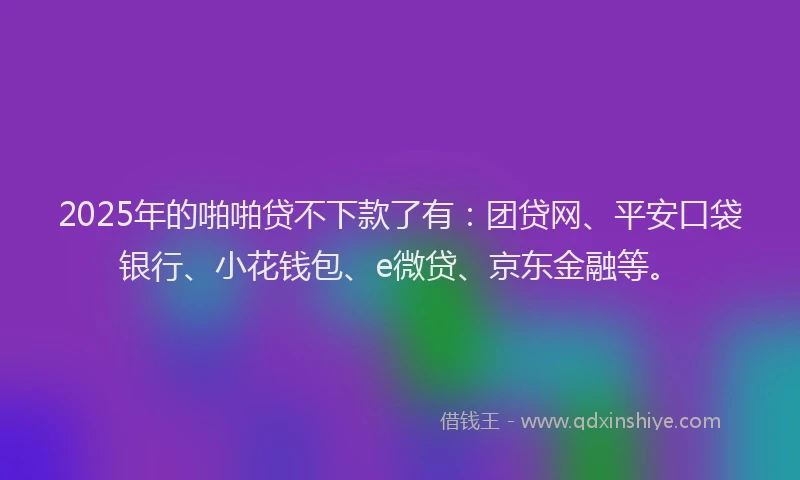 2025年的啪啪贷不下款了有：团贷网、平安口袋银行、小花钱包、e微贷、京东金融等。