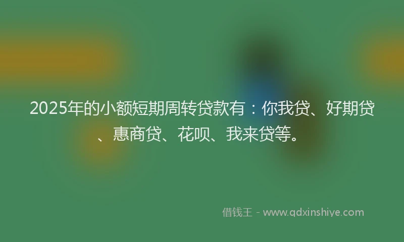 2025年的小额短期周转贷款有：你我贷、好期贷、惠商贷、花呗、我来贷等。