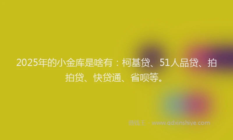 2025年的小金库是啥有：柯基贷、51人品贷、拍拍贷、快贷通、省呗等。