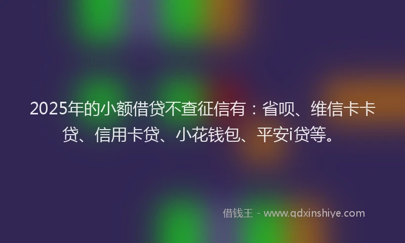 2025年的小额借贷不查征信有：省呗、维信卡卡贷、信用卡贷、小花钱包、平安i贷等。