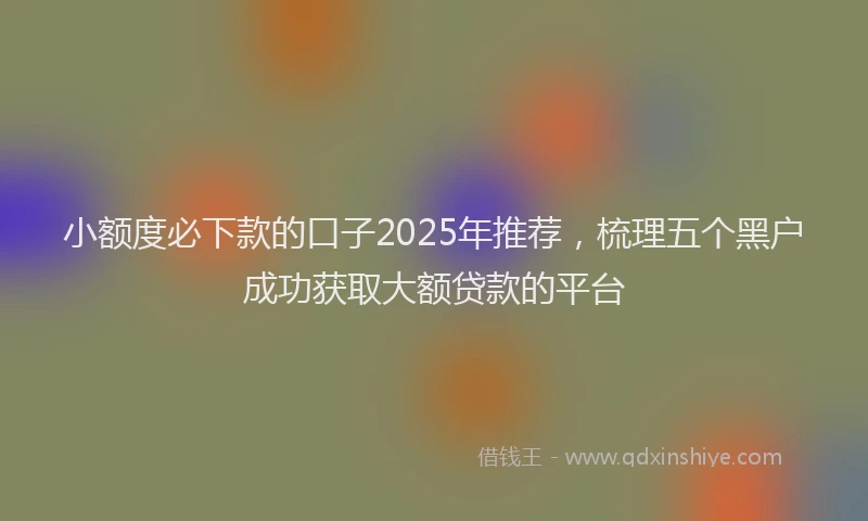 小额度必下款的口子2025年推荐，梳理五个黑户成功获取大额贷款的平台