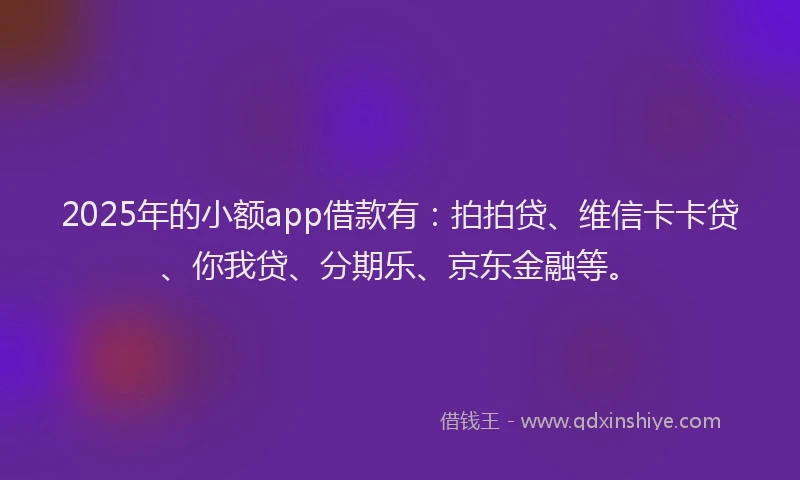 2025年的小额app借款有：拍拍贷、维信卡卡贷、你我贷、分期乐、京东金融等。