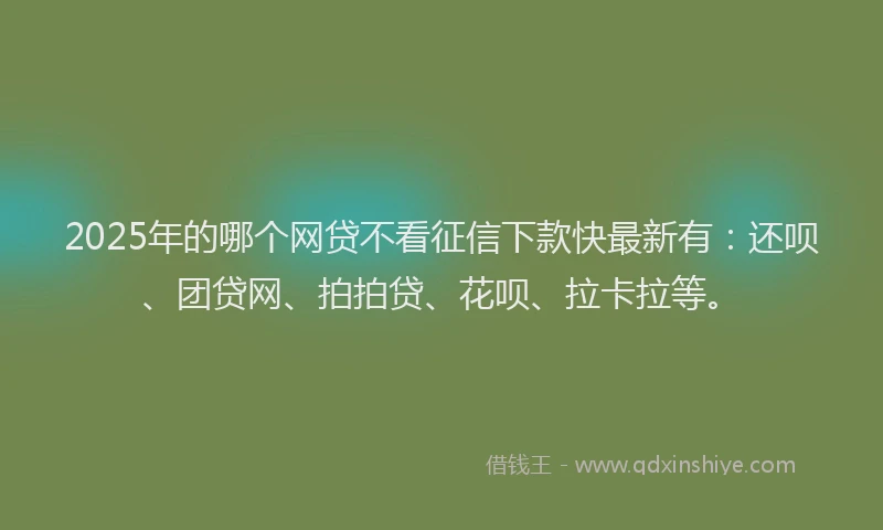2025年的哪个网贷不看征信下款快最新有：还呗、团贷网、拍拍贷、花呗、拉卡拉等。