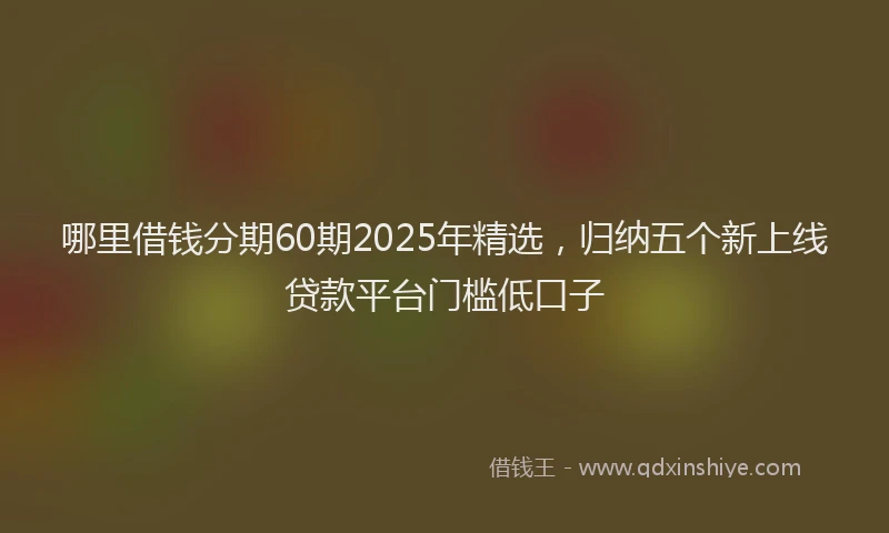 哪里借钱分期60期2025年精选，归纳五个新上线贷款平台门槛低口子