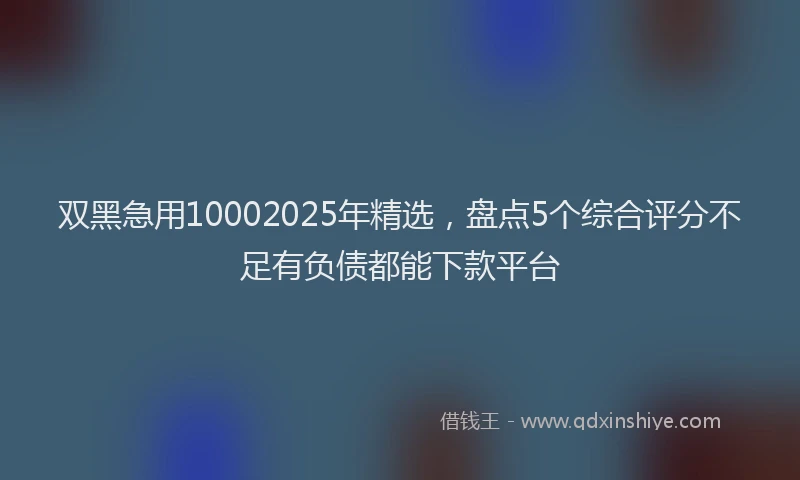 双黑急用10002025年精选，盘点5个综合评分不足有负债都能下款平台