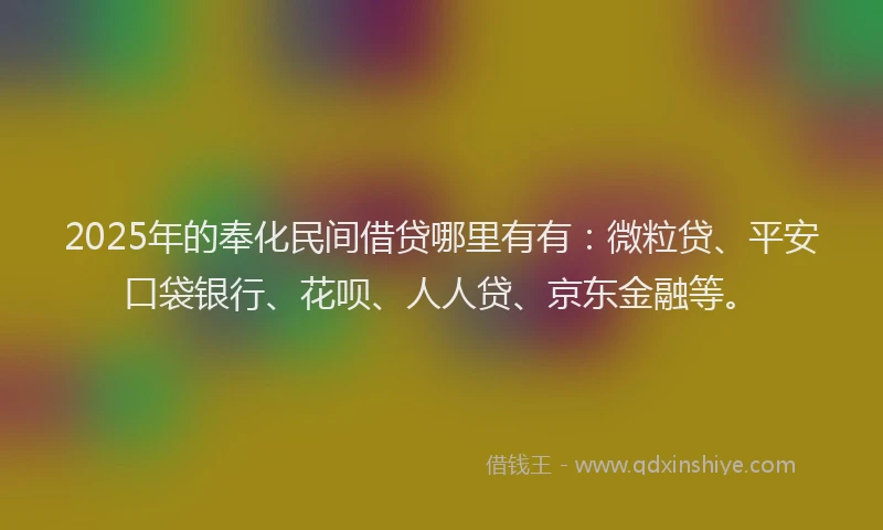 2025年的奉化民间借贷哪里有有：微粒贷、平安口袋银行、花呗、人人贷、京东金融等。