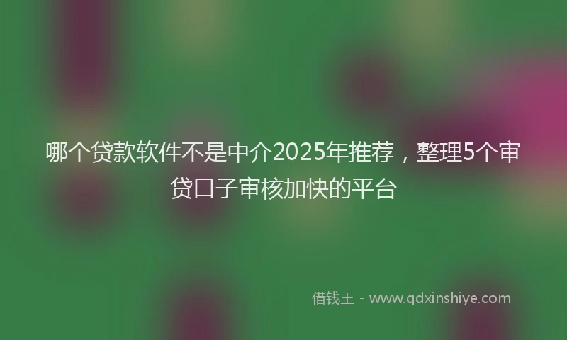 哪个贷款软件不是中介2025年推荐，整理5个审贷口子审核加快的平台