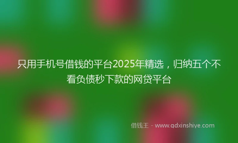只用手机号借钱的平台2025年精选，归纳五个不看负债秒下款的网贷平台