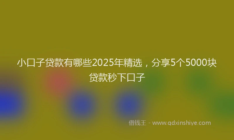 小口子贷款有哪些2025年精选，分享5个5000块贷款秒下口子