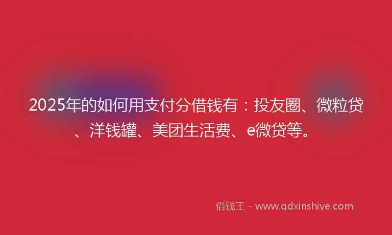 2025年的如何用支付分借钱有：投友圈、微粒贷、洋钱罐、美团生活费、e微贷等。