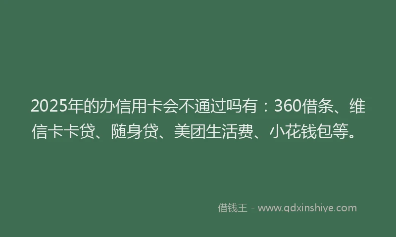 2025年的办信用卡会不通过吗有：360借条、维信卡卡贷、随身贷、美团生活费、小花钱包等。