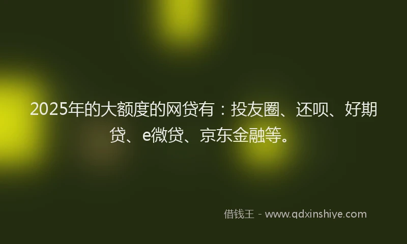 2025年的大额度的网贷有：投友圈、还呗、好期贷、e微贷、京东金融等。
