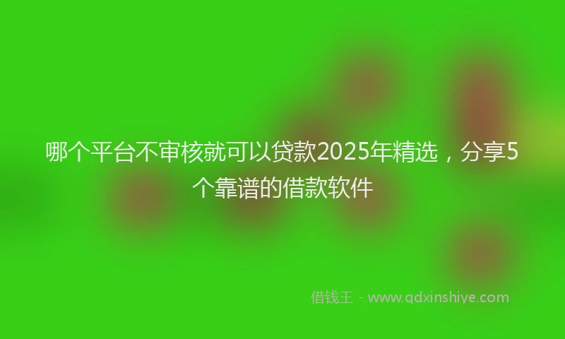 哪个平台不审核就可以贷款2025年精选，分享5个靠谱的借款软件