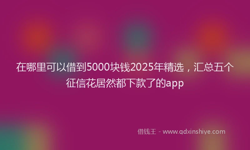 在哪里可以借到5000块钱2025年精选，汇总五个征信花居然都下款了的app
