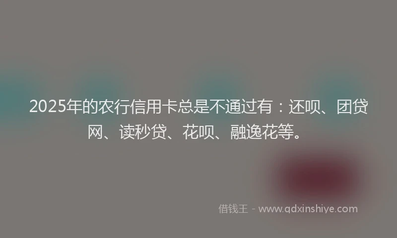 2025年的农行信用卡总是不通过有：还呗、团贷网、读秒贷、花呗、融逸花等。