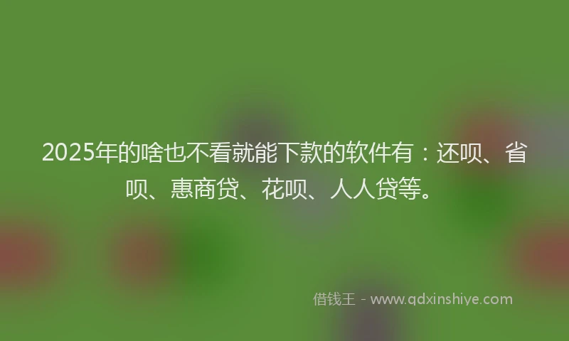 2025年的啥也不看就能下款的软件有：还呗、省呗、惠商贷、花呗、人人贷等。
