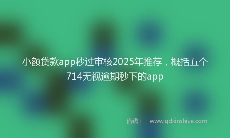 小额贷款app秒过审核2025年推荐，概括五个714无视逾期秒下的app