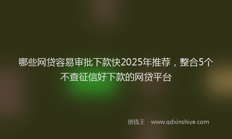 哪些网贷容易审批下款快2025年推荐，整合5个不查征信好下款的网贷平台