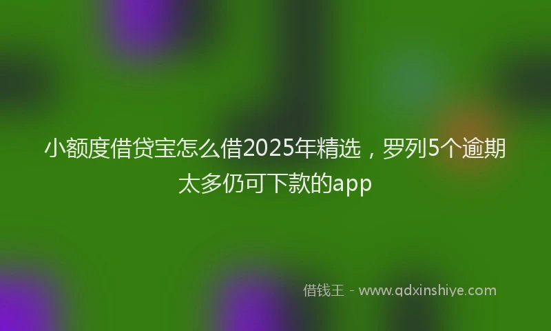 小额度借贷宝怎么借2025年精选，罗列5个逾期太多仍可下款的app