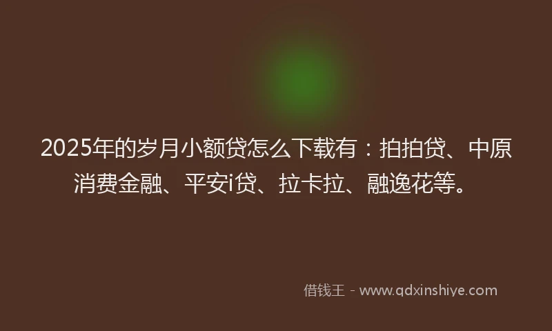 2025年的岁月小额贷怎么下载有：拍拍贷、中原消费金融、平安i贷、拉卡拉、融逸花等。