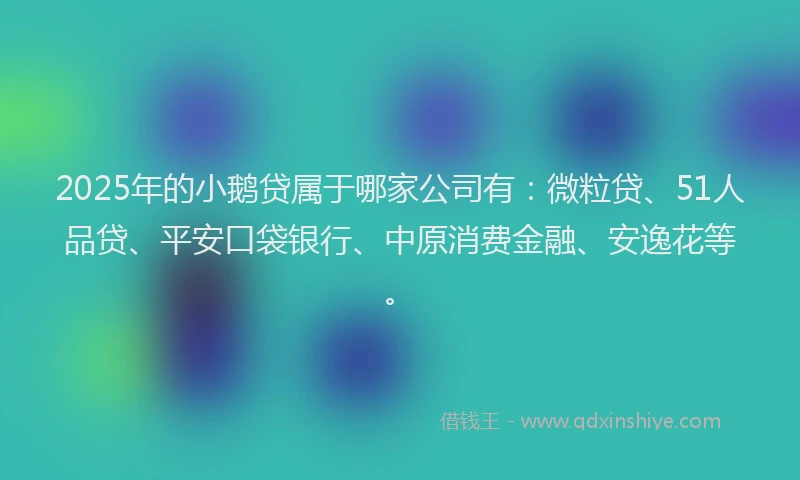 2025年的小鹅贷属于哪家公司有：微粒贷、51人品贷、平安口袋银行、中原消费金融、安逸花等。