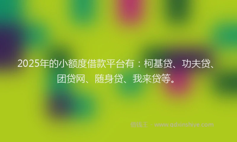 2025年的小额度借款平台有：柯基贷、功夫贷、团贷网、随身贷、我来贷等。