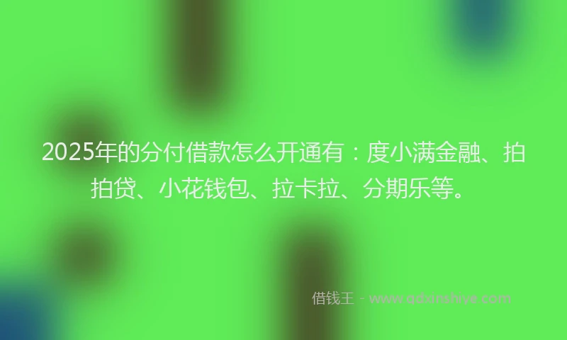 2025年的分付借款怎么开通有：度小满金融、拍拍贷、小花钱包、拉卡拉、分期乐等。