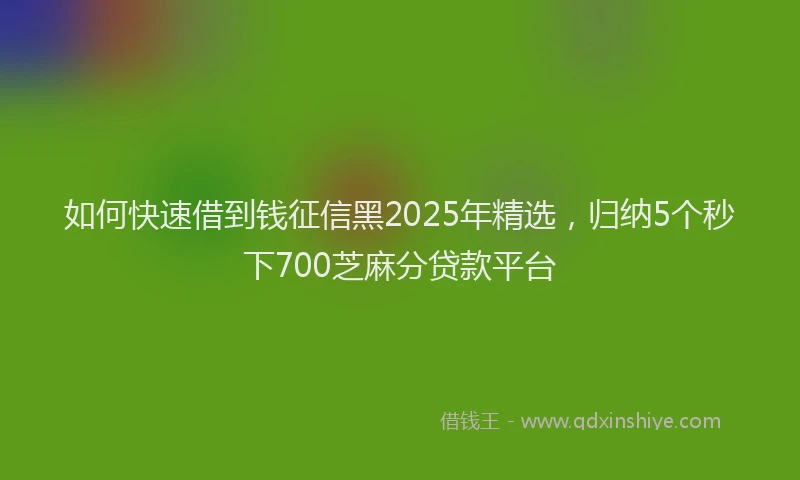 如何快速借到钱征信黑2025年精选，归纳5个秒下700芝麻分贷款平台