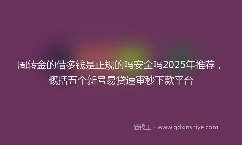 周转金的借多钱是正规的吗安全吗2025年推荐，概括五个新号易贷速审秒下款平台