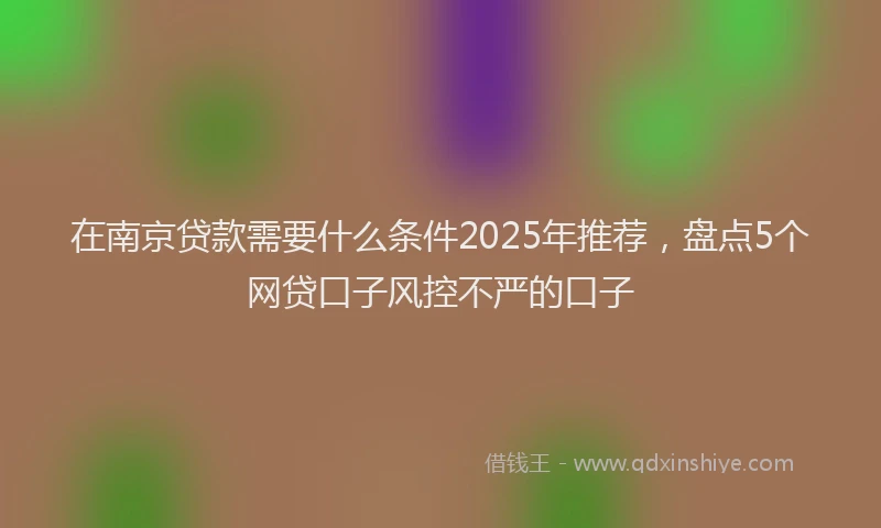 在南京贷款需要什么条件2025年推荐，盘点5个网贷口子风控不严的口子