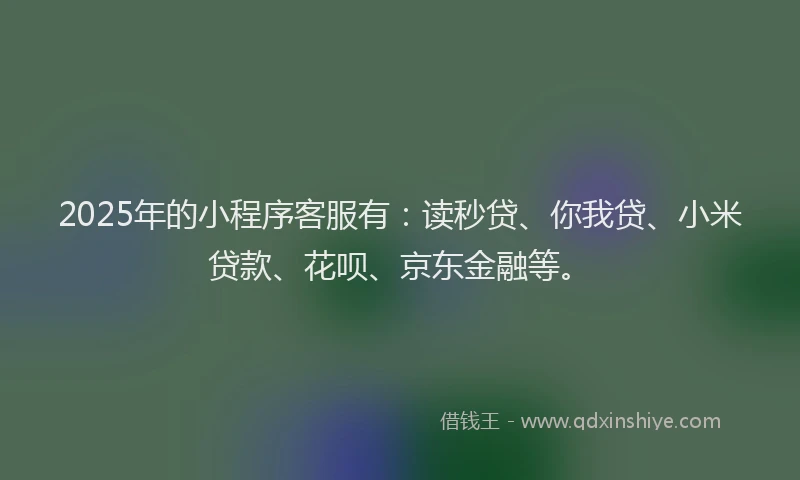 2025年的小程序客服有：读秒贷、你我贷、小米贷款、花呗、京东金融等。